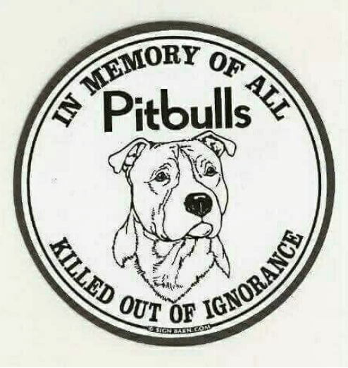Pitbull Advocate